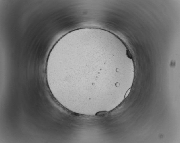 X0000100320864200807031209