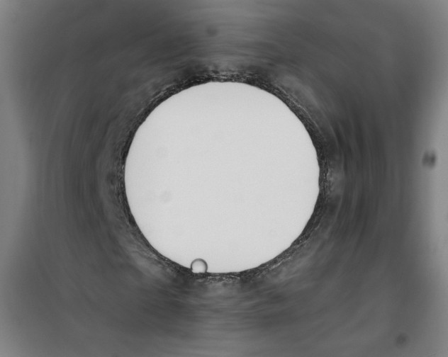 X0000100320865200807031208