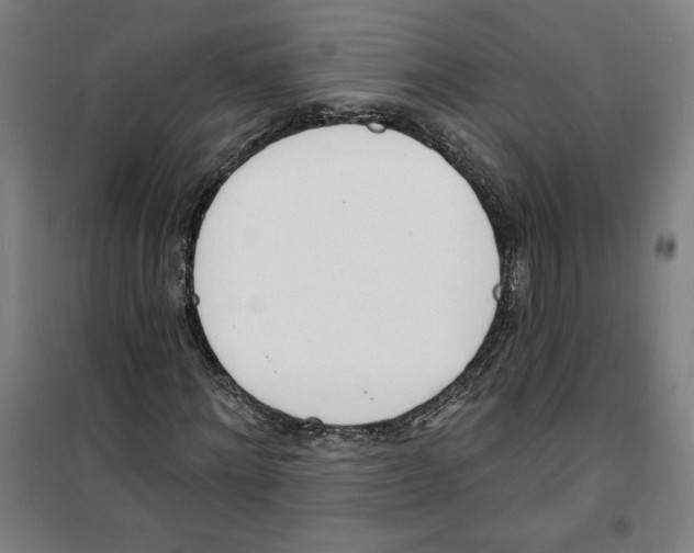 X0000100320868200807031208