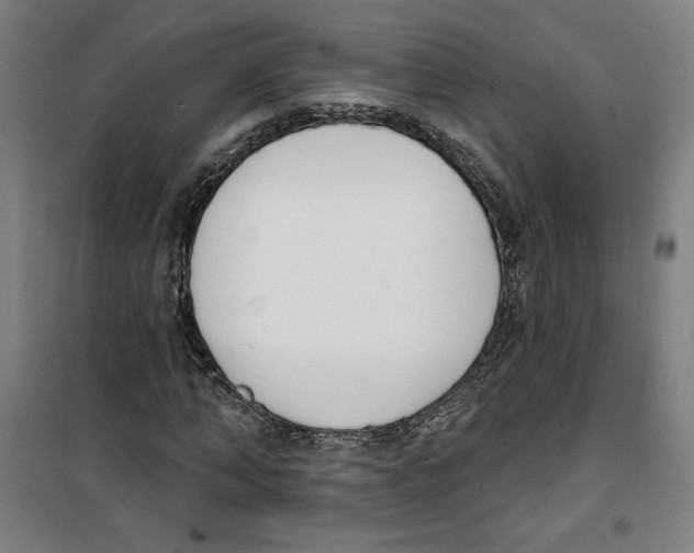 X0000100320870200807031208