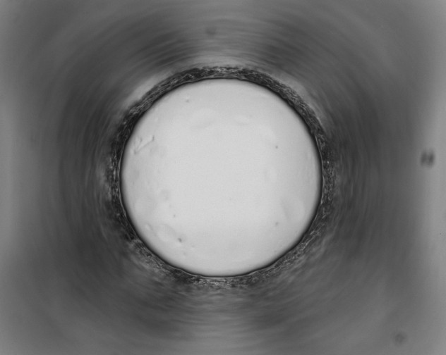 X0000100320871200807031208