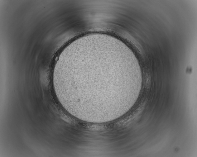 X0000100320874200807031208