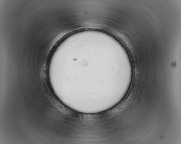 X0000100320875200807031208