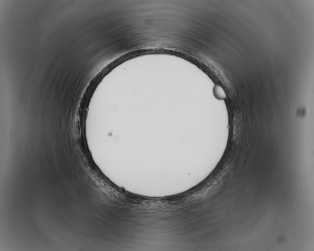 X0000100320876200807031208