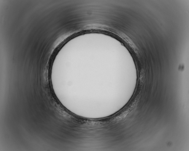 X0000100320877200807031208