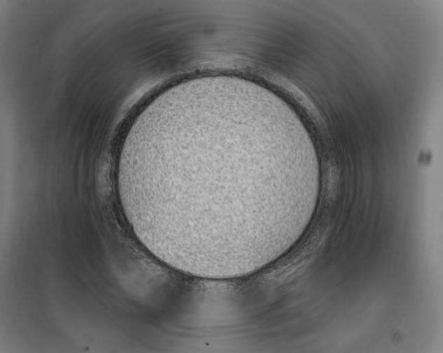 X0000100320878200807031208