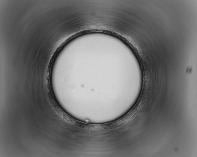 X0000100320879200807031208