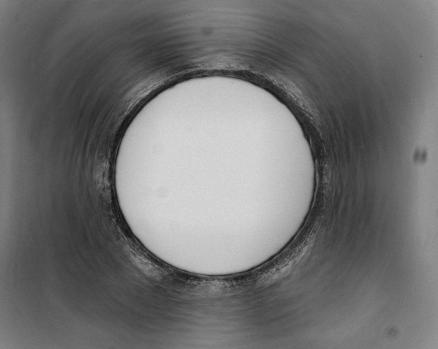 X0000100320881200807031208