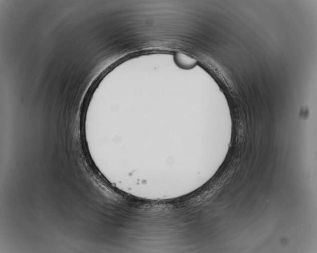 X0000100320884200807031208