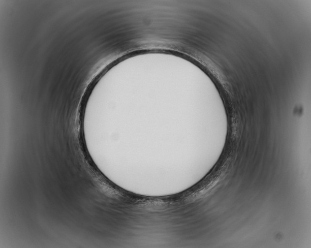 X0000100320885200807031208