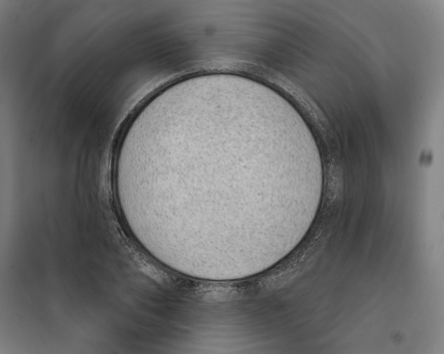 X0000100320886200807031208