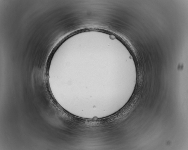 X0000100320887200807031208