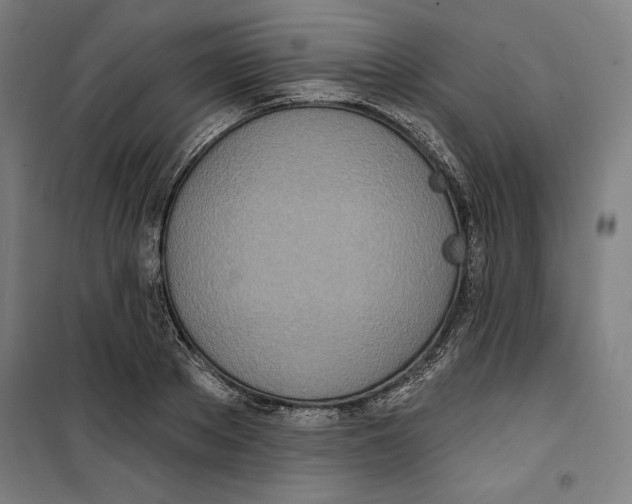 X0000100320889200807031208