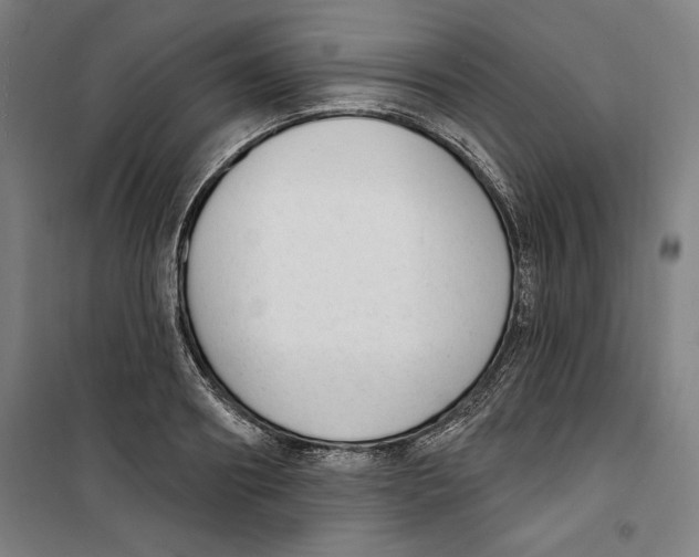 X0000100320890200807031208