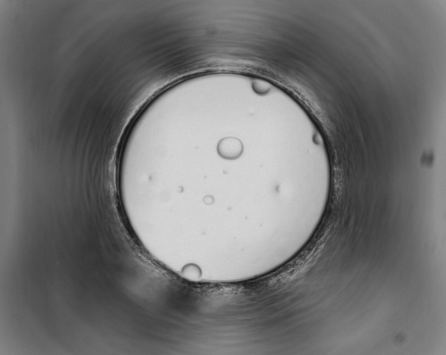 X0000100320891200807031208