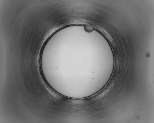 X0000100320893200807031208