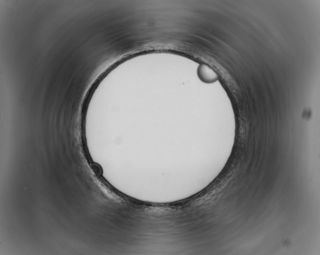 X0000100320894200807031208