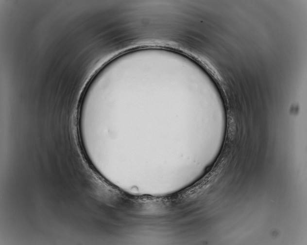 X0000100320895200807031208