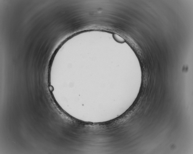 X0000100320896200807031208