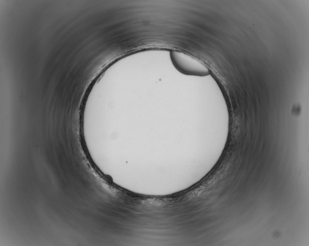 X0000100320898200807031208