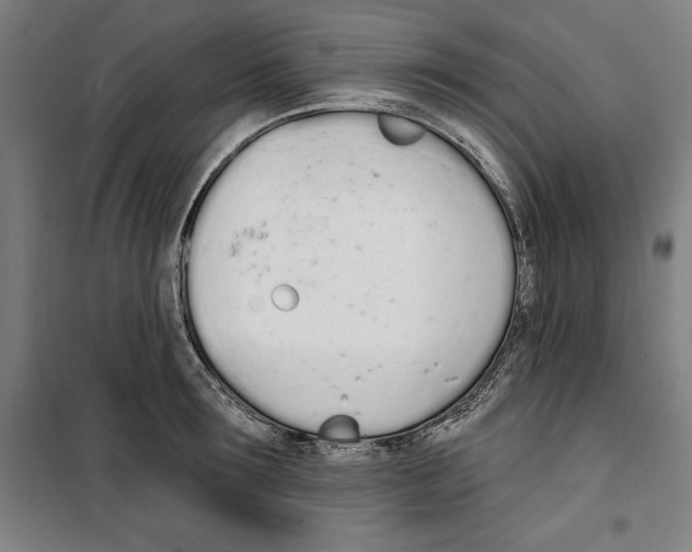 X0000100320899200807031208