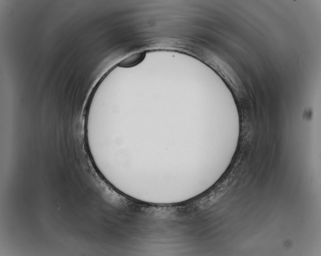 X0000100320900200807031208