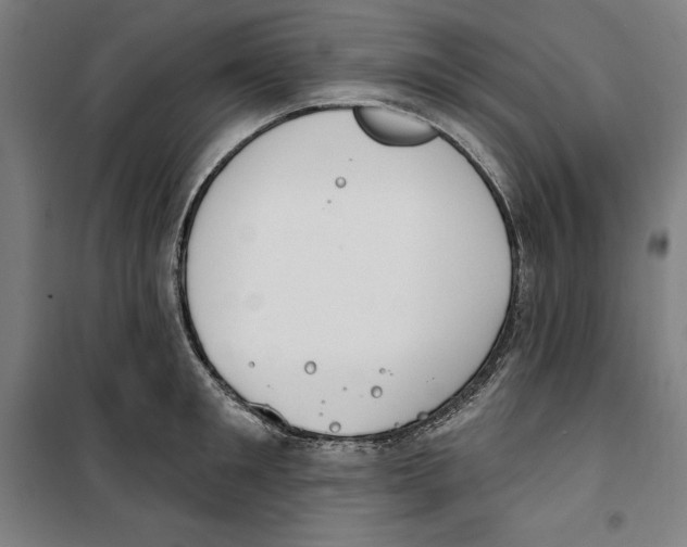 X0000100320901200807031208