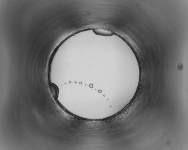 X0000100320902200807031208