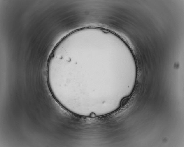 X0000100320903200807031208