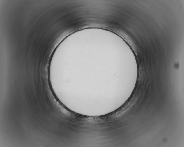 X0000100320906200807031208