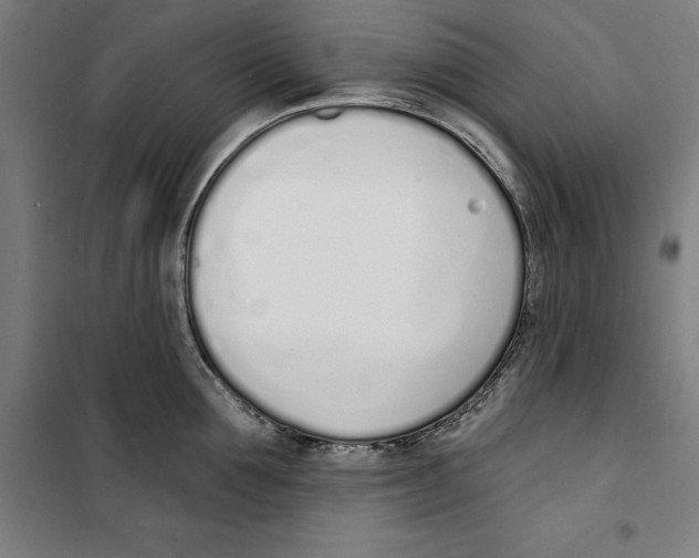 X0000100320907200807031208