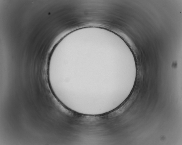 X0000100320910200807031208