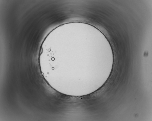 X0000100320912200807031208