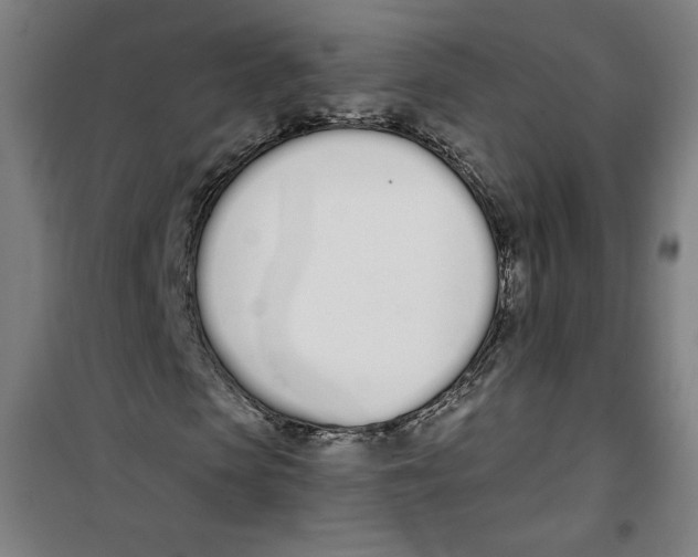 X0000100320913200807031207