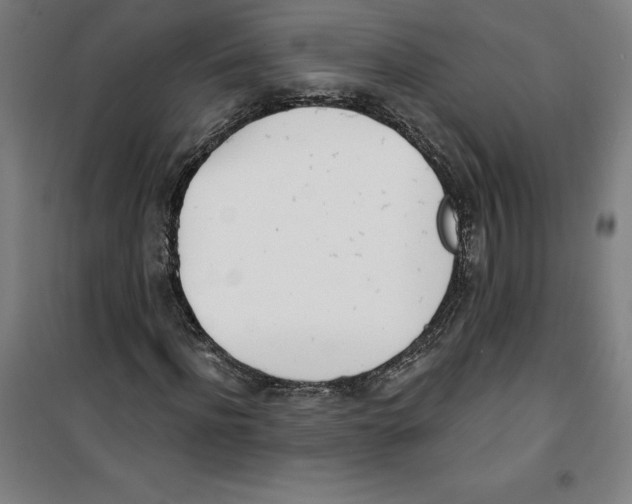 X0000100320916200807031207