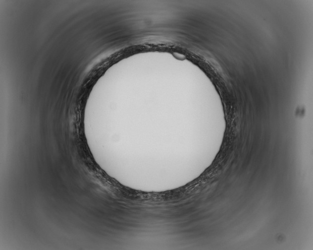 X0000100320920200807031207