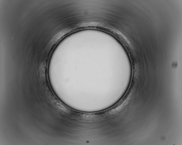 X0000100320921200807031207