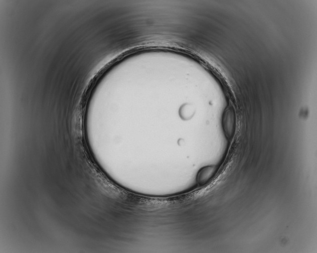 X0000100320925200807031207