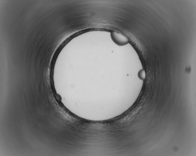 X0000100320932200807031207