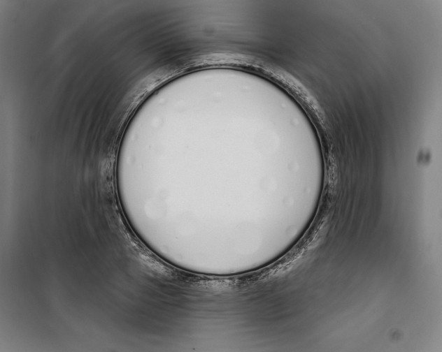 X0000100320937200807031207