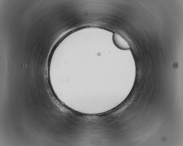 X0000100320940200807031207