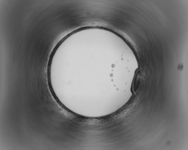 X0000100320943200807031207