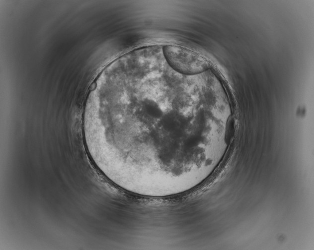 X0000100320945200807031207