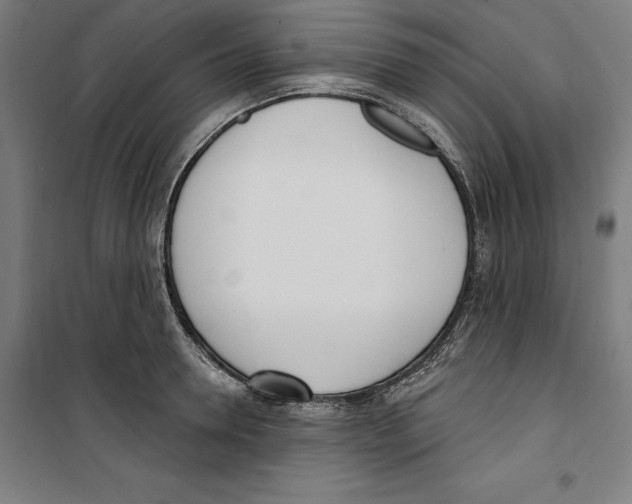 X0000100320946200807031207