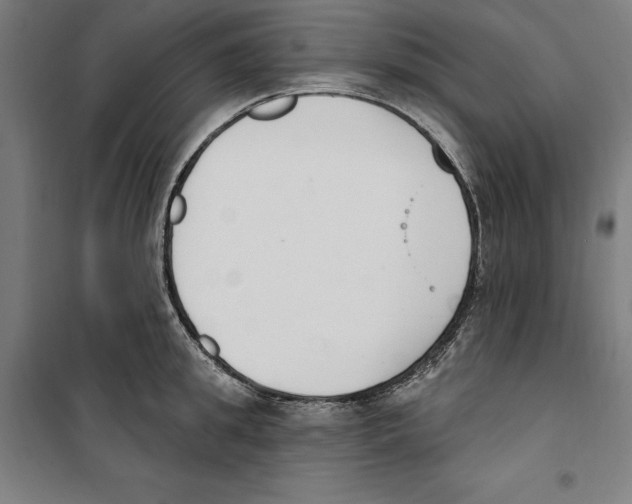 X0000100320949200807031207