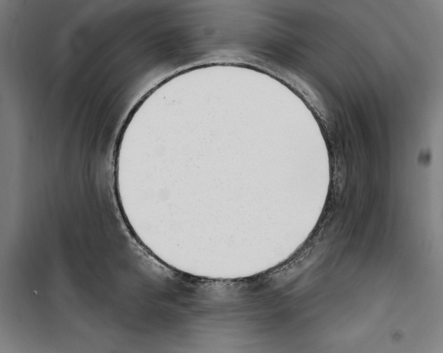 X0000100320950200807031207