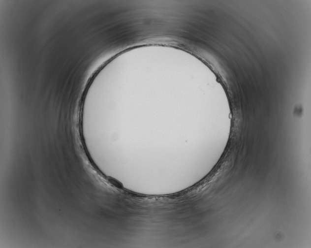 X0000100320952200807031207