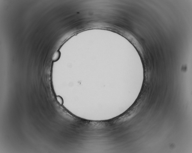 X0000100320954200807031207