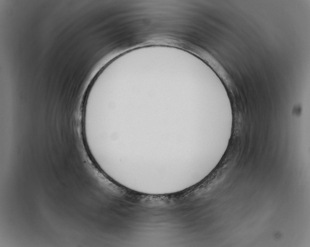 X0000100320955200807031207