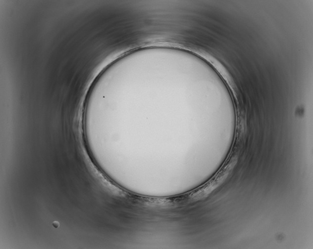 X0000100320957200807031207